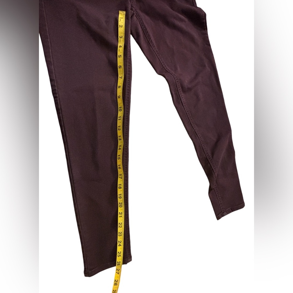 Democracy Stretcy “Abs” Skinny Jeans - Great Fall Color - Picture 5 of 10